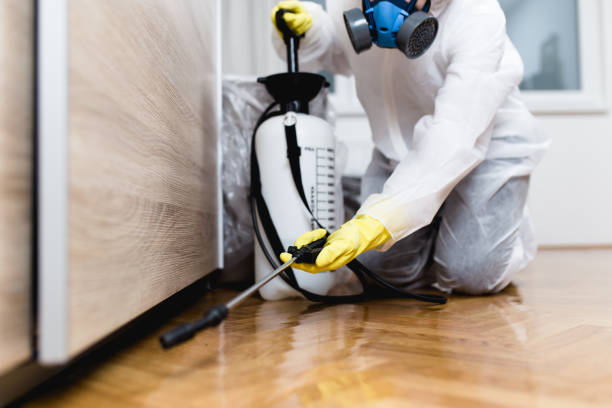 Professional Pest Control in Gainesville, GA