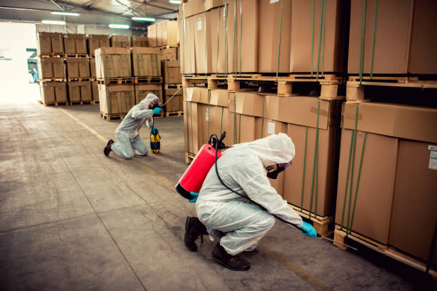 Best Rat Extermination Near Me  in Inesville, GA