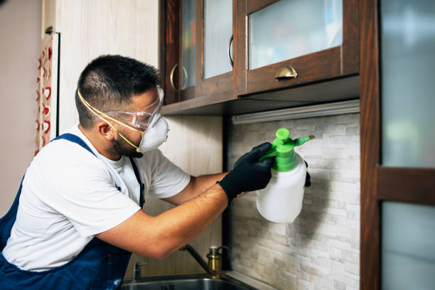 Best Affordable Pest Control Services  in Inesville, GA