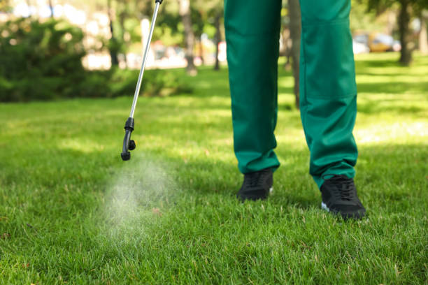 Best Best Pest Control Companies  in Inesville, GA