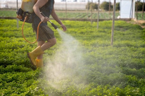 Best Pest Control Treatment  in Inesville, GA