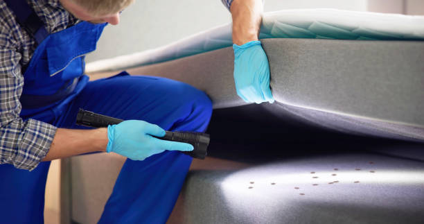 Best Mosquito Control Services  in Inesville, GA