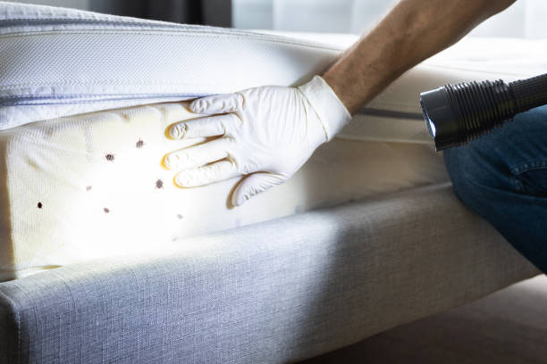 Best Cockroach Control Services  in Inesville, GA