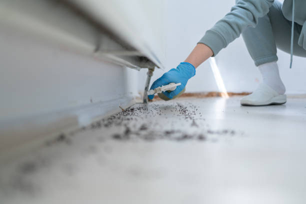 Best Residential Pest Control  in Inesville, GA
